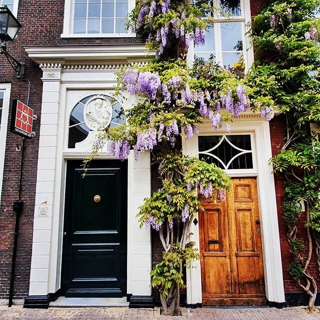 Being curious is what motivated me to become a city guide, many years ago. Curious about that alley, the people on my tour or what's behind that door...this door is the entry way to one of The Hague's most beautiful surprises. #hiddentreasure #schuil