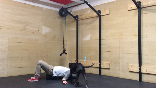 Biggest Bang for Your Buck Mobility 