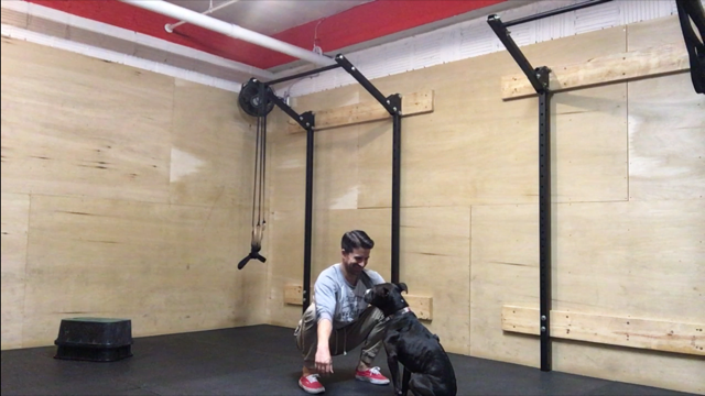 Biggest Bang For your Buck Mobility 