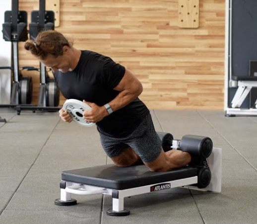 Ham Developer Nordic Glute Ham Raise Glute Ham Raise Floor Floor