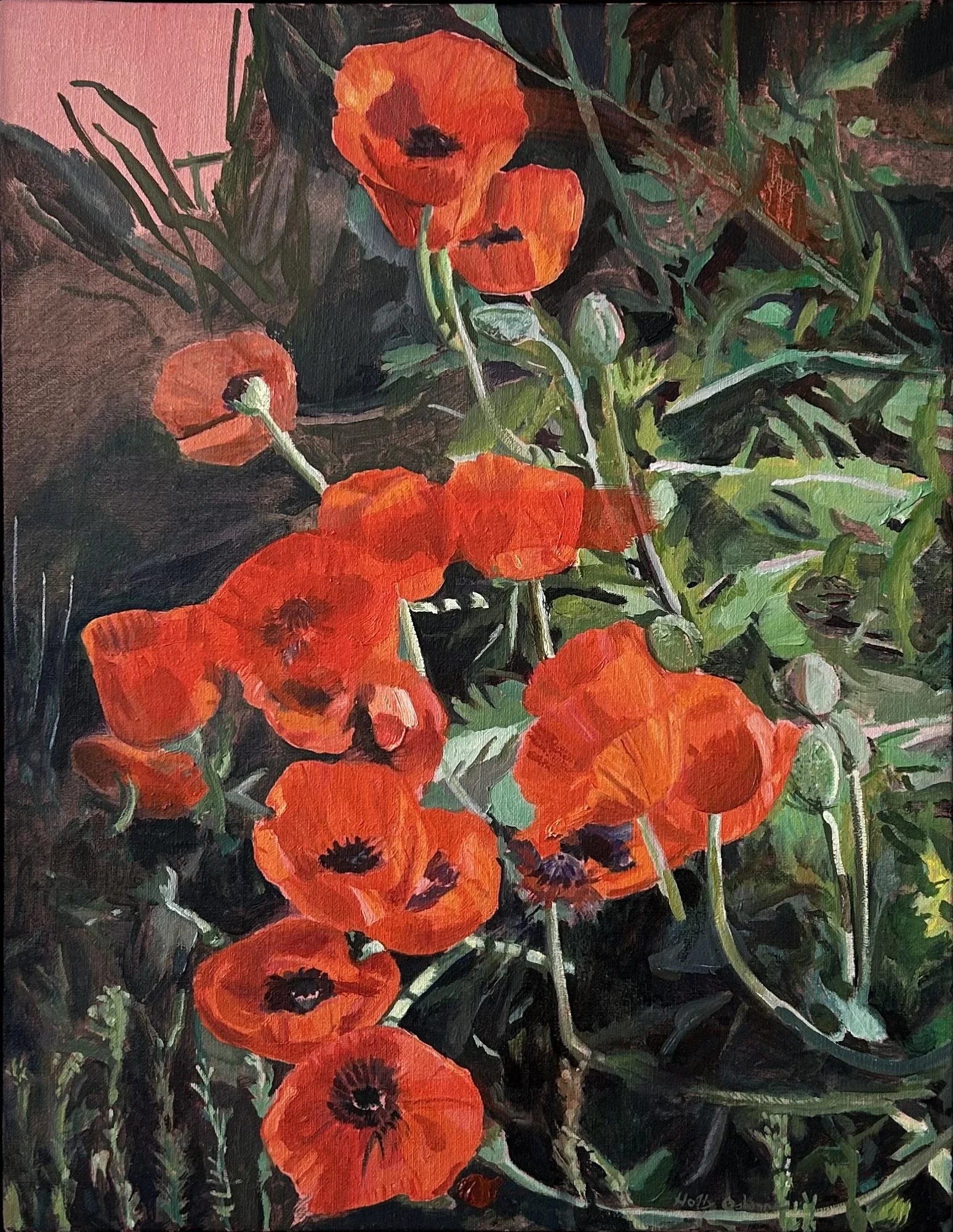 Neighbor's Poppies