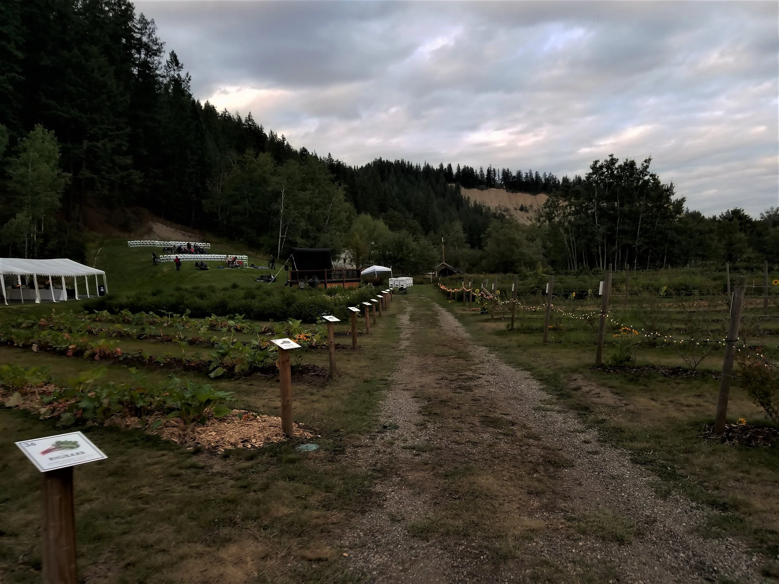 20170825_194009.jpg