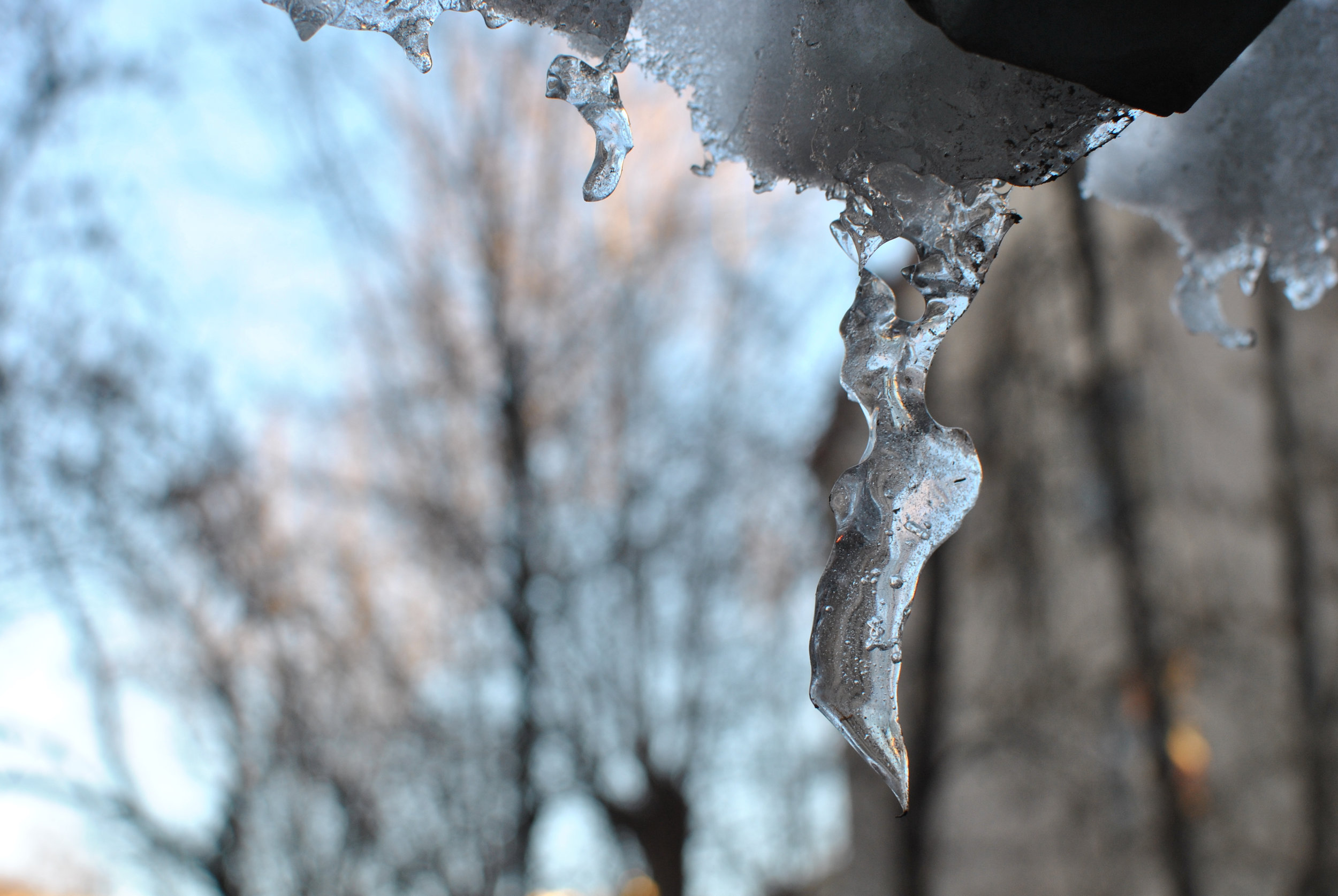 DSC_0799.jpg
