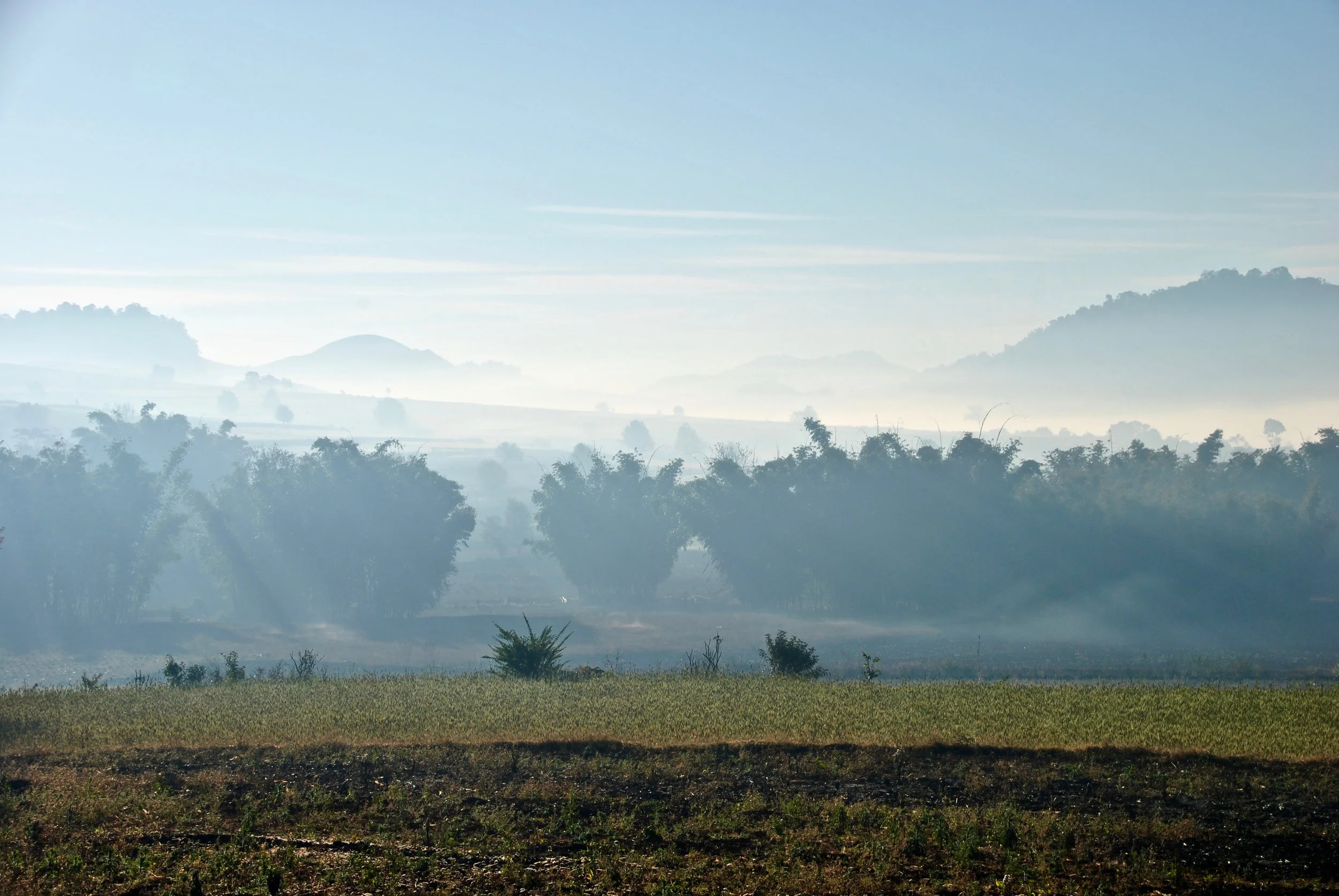 DSC_1094.jpg