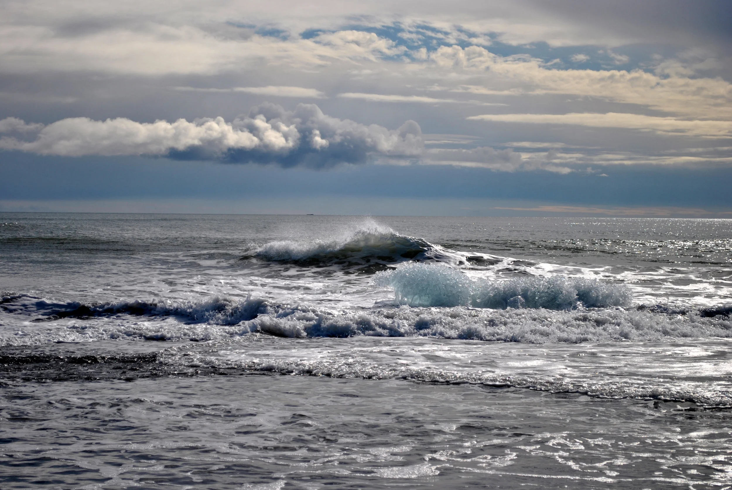 DSC_0752.jpg