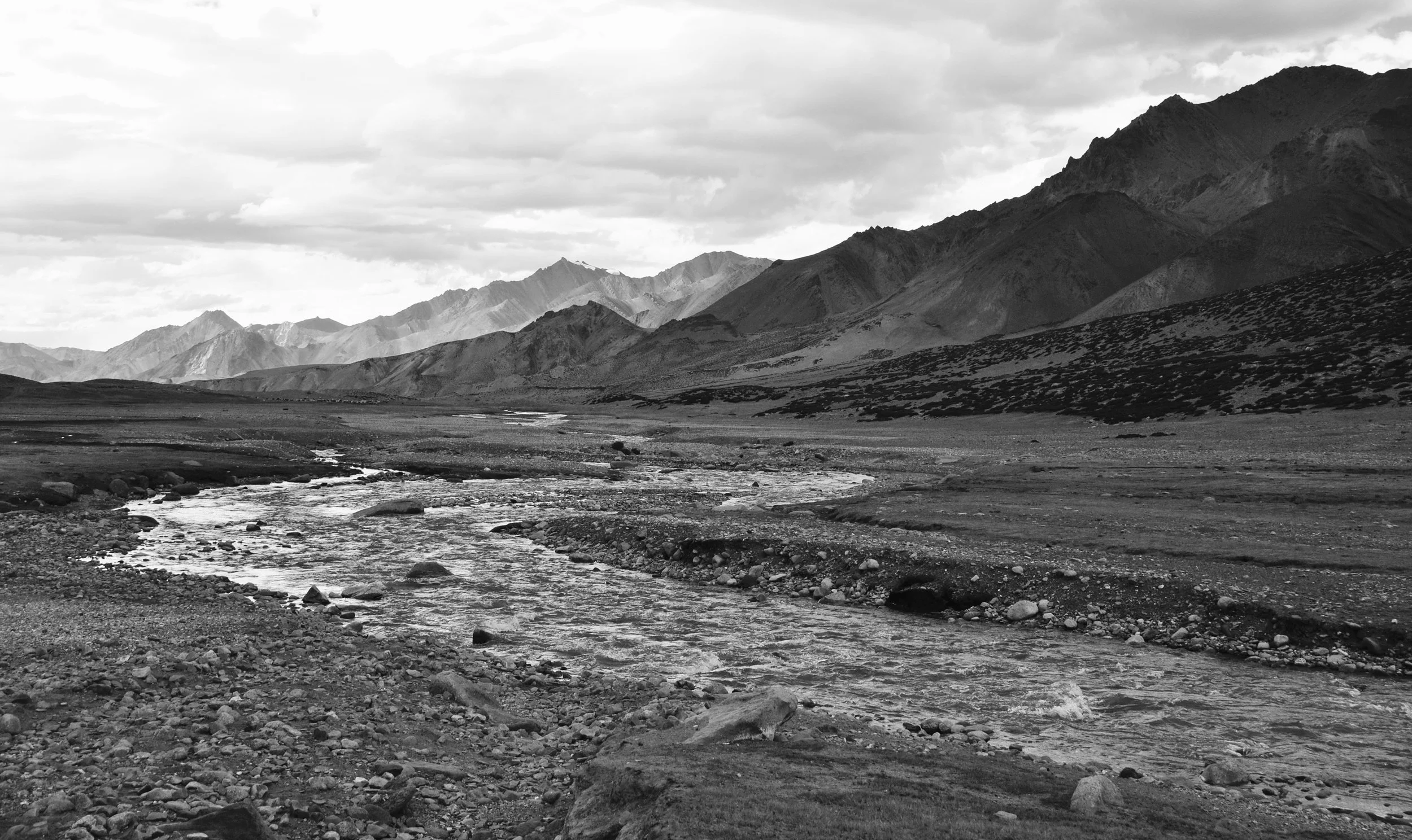 DSC_0972.jpg