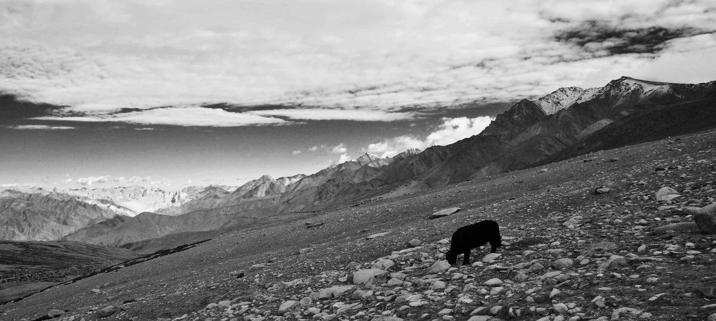 DSC_1015.jpg