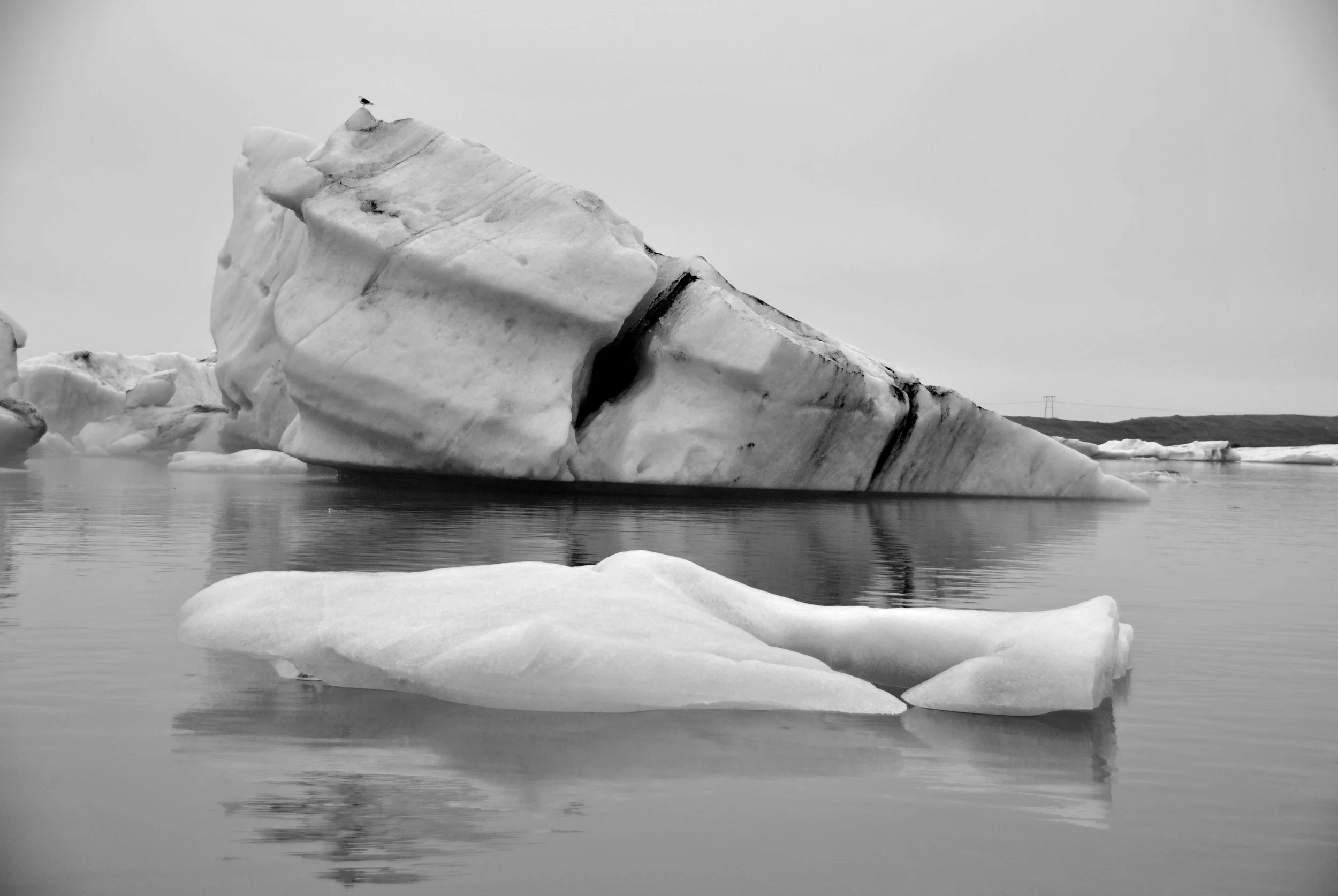 DSC_0180.jpg