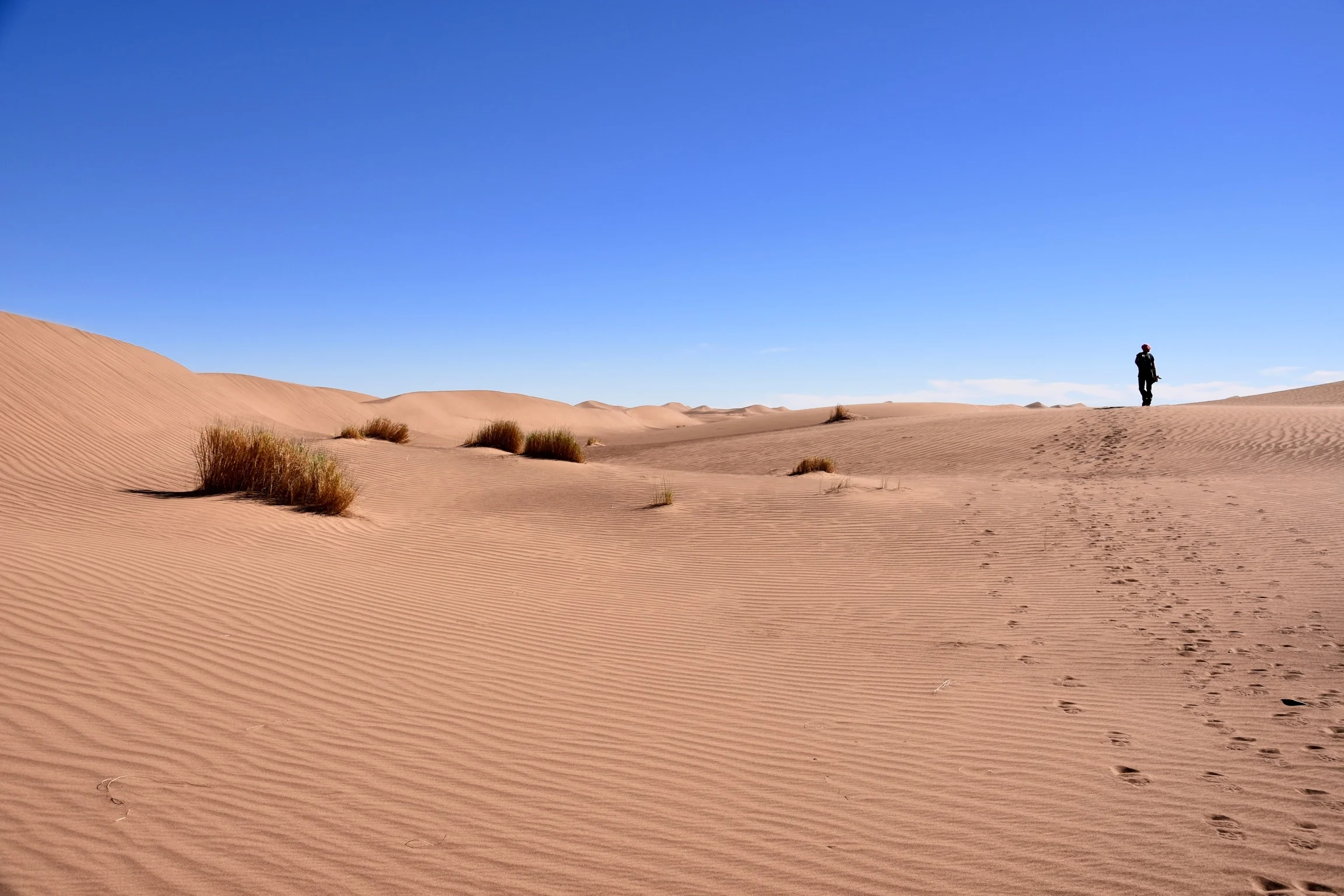 DSC_2880.jpg