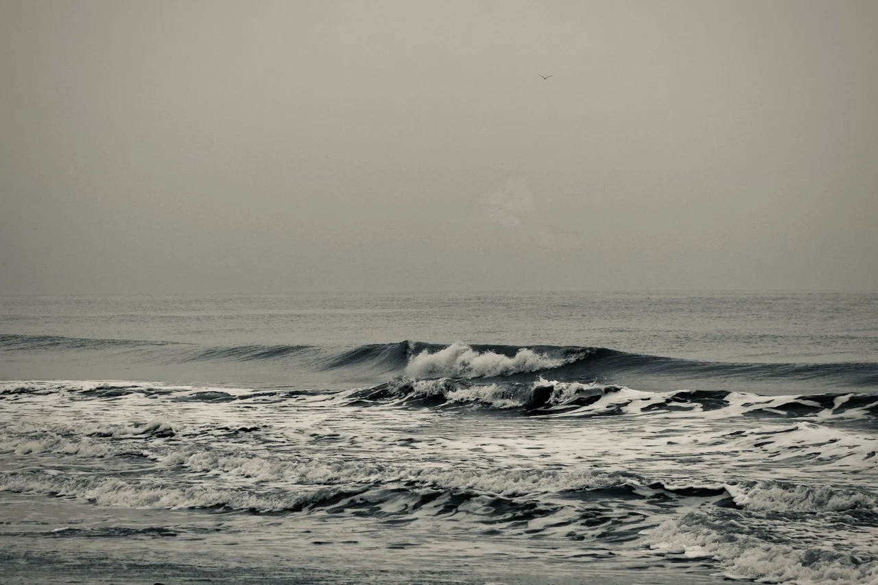 DSC_8012.jpeg