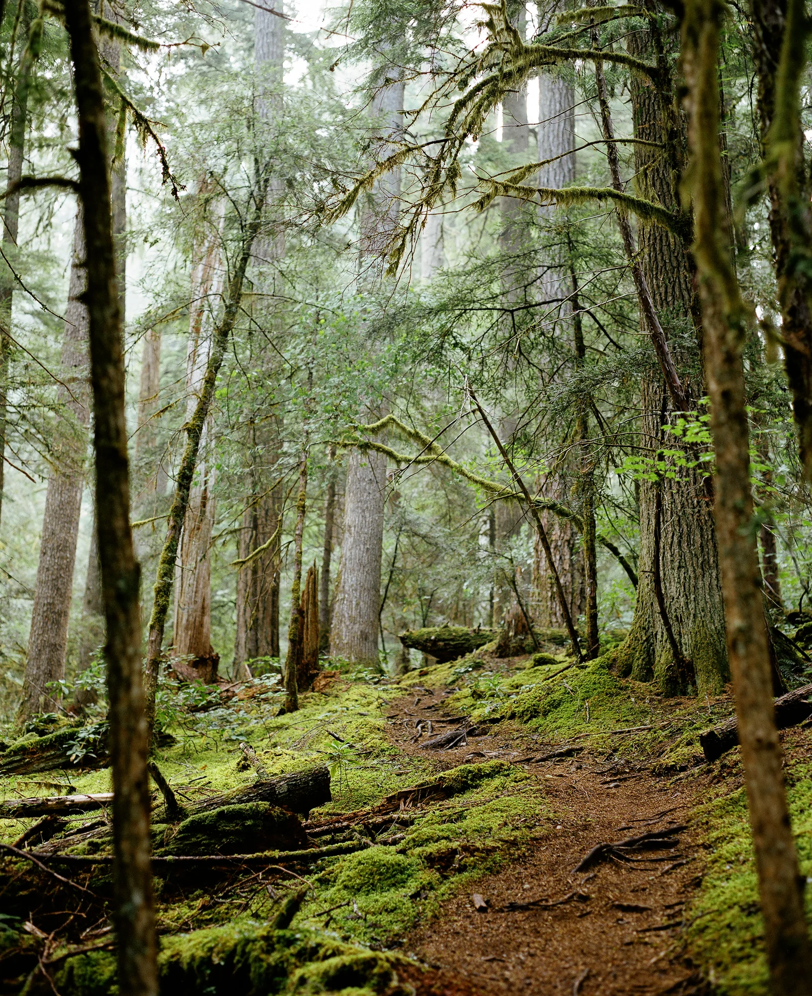 MGP_Travel_020.jpg
