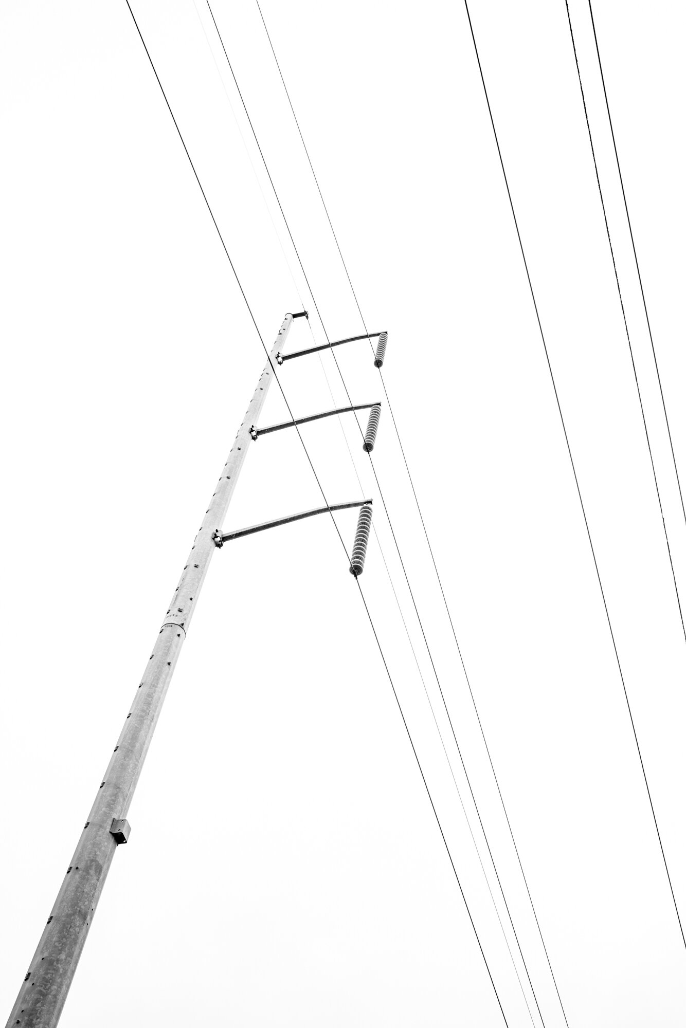 MGP02370.jpg