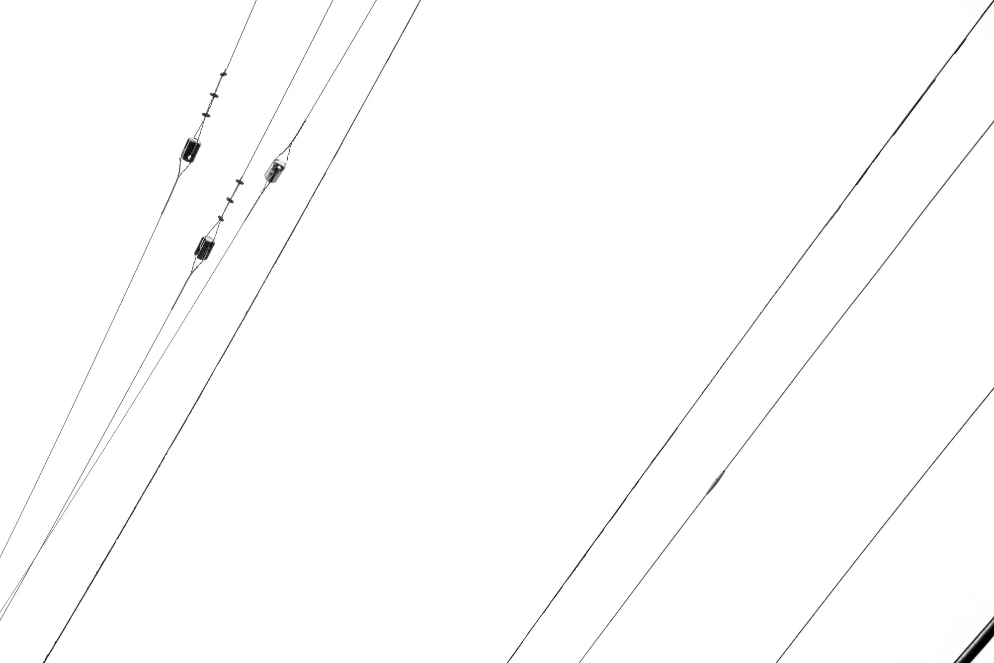 MGP02372.jpg