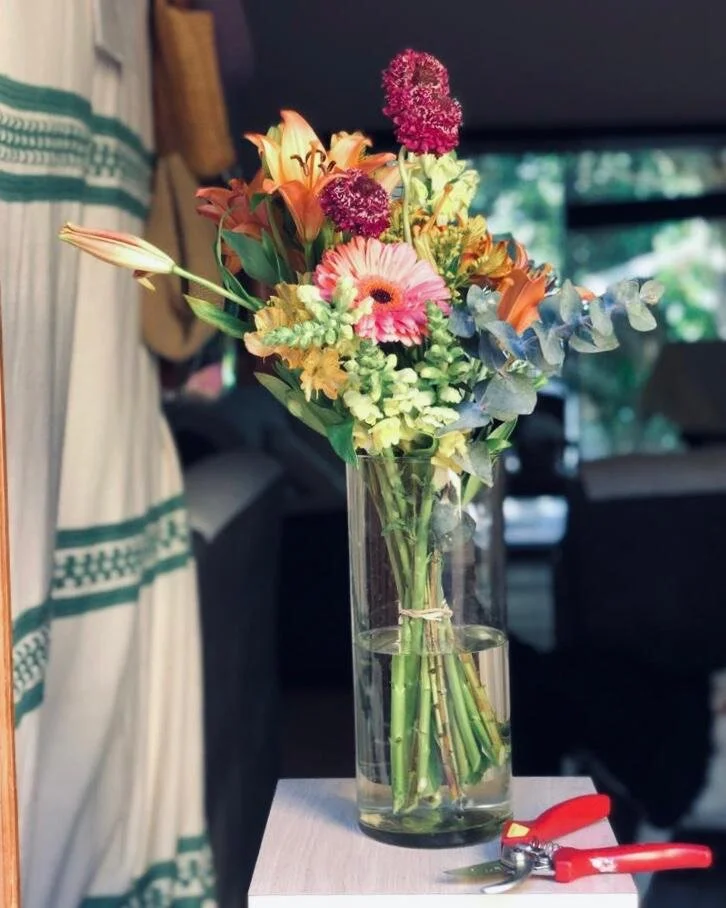 Consejos para cuidar tus flores