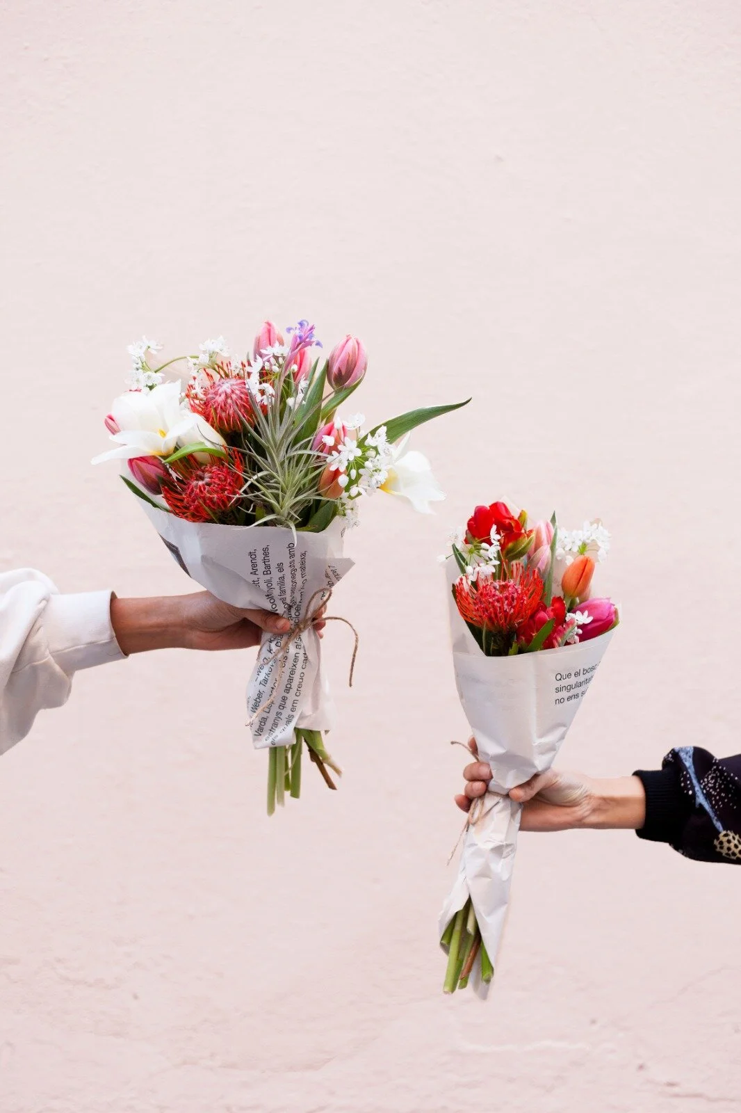 Fresh blooms @CasaProtea