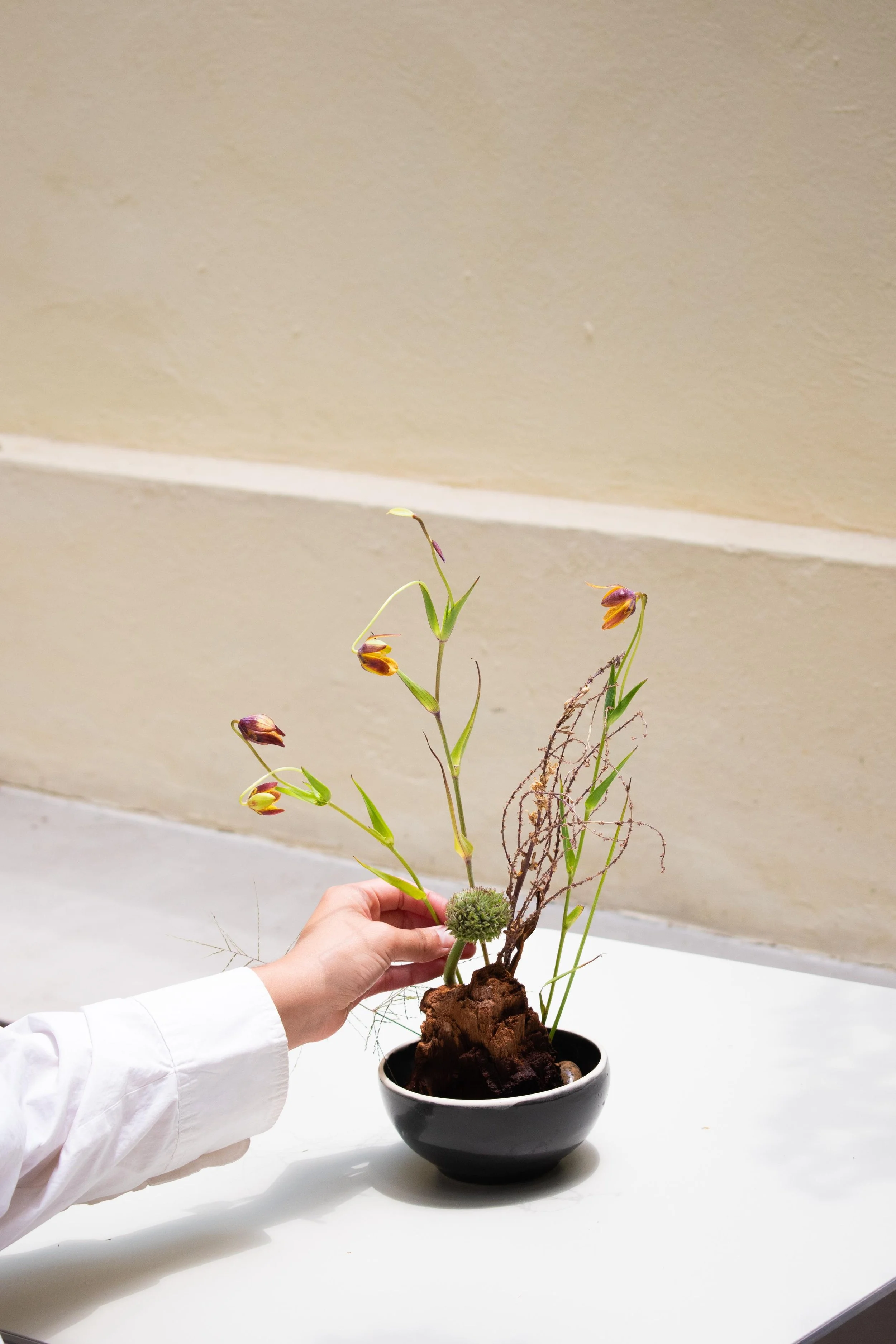 WhatsApp Image 2026-02-26 at 09.54.31.jpeg