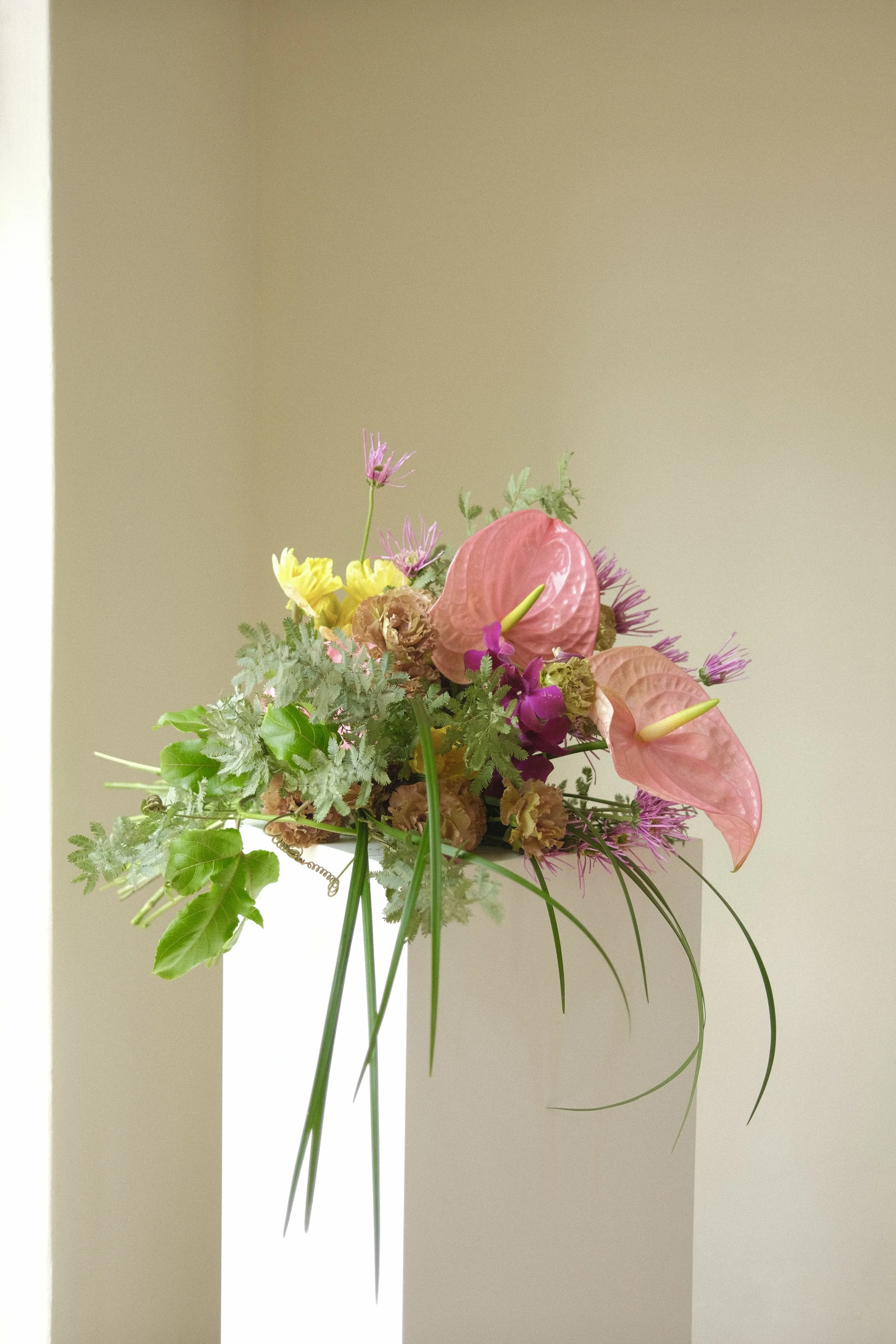 DSCF3752.jpg