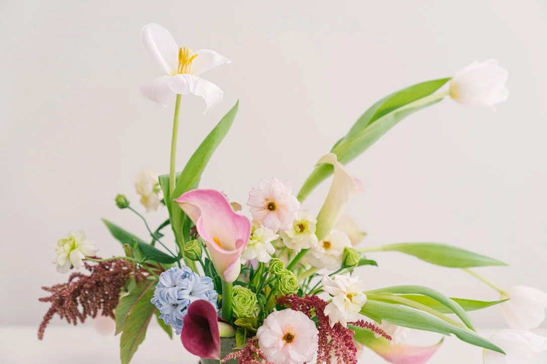 WhatsApp Image 2026-02-27 at 16.45.40 (1).jpeg