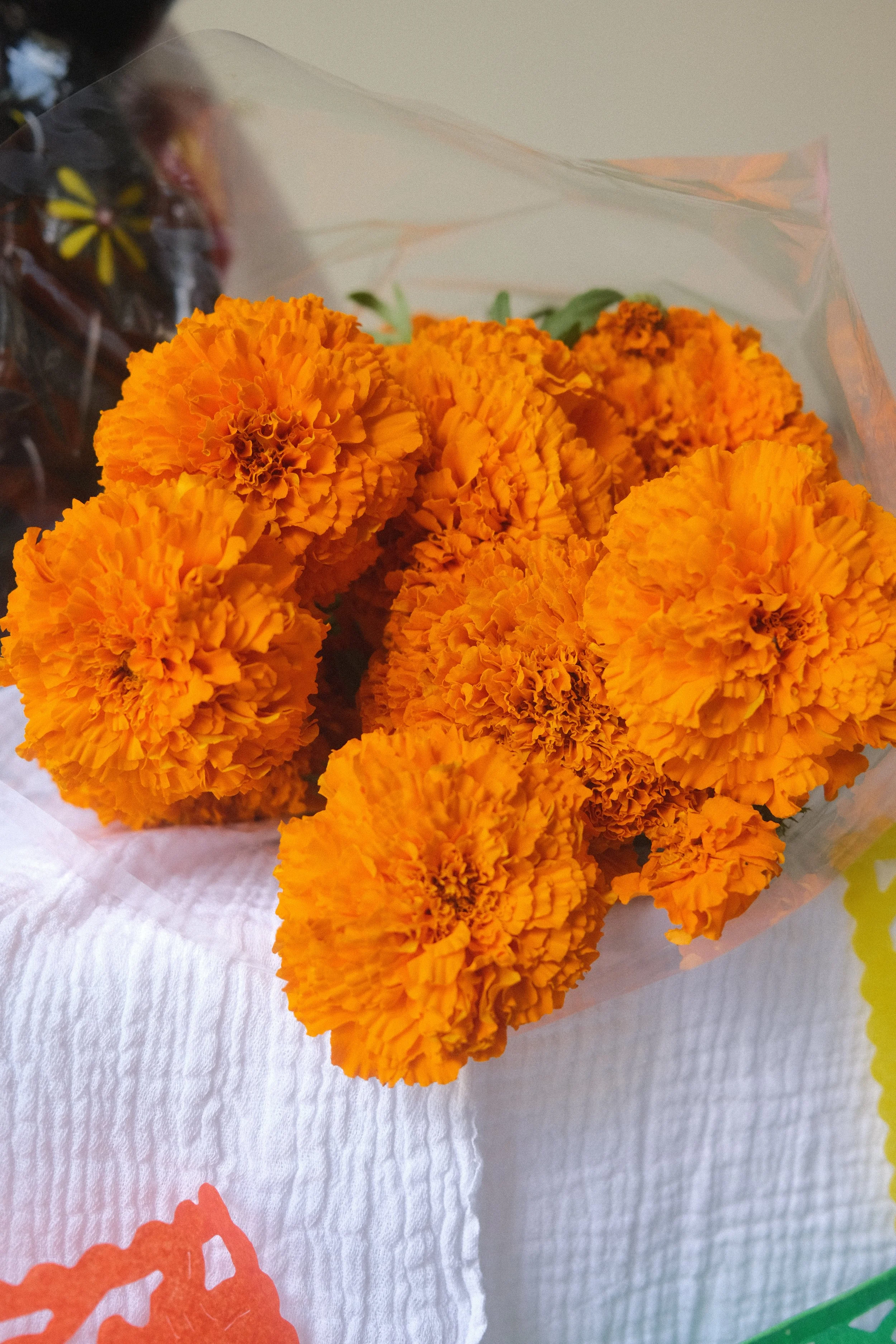 DSCF4696.JPG