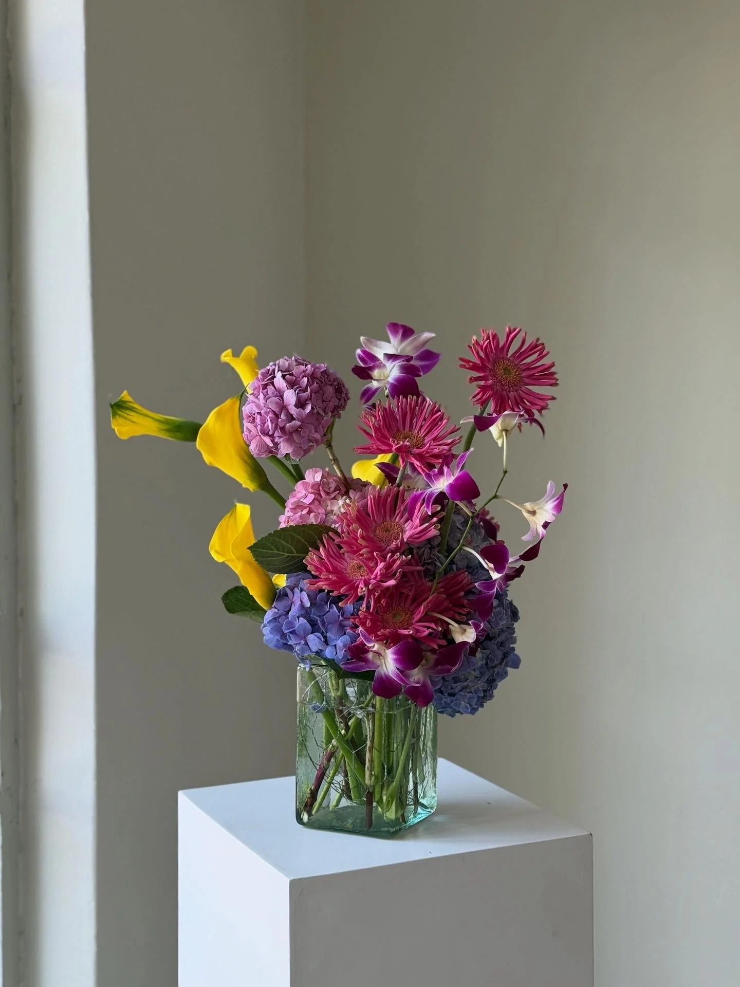 D7B54D16-D2D0-4479-B3B9-8FAD7B7F845E.JPG