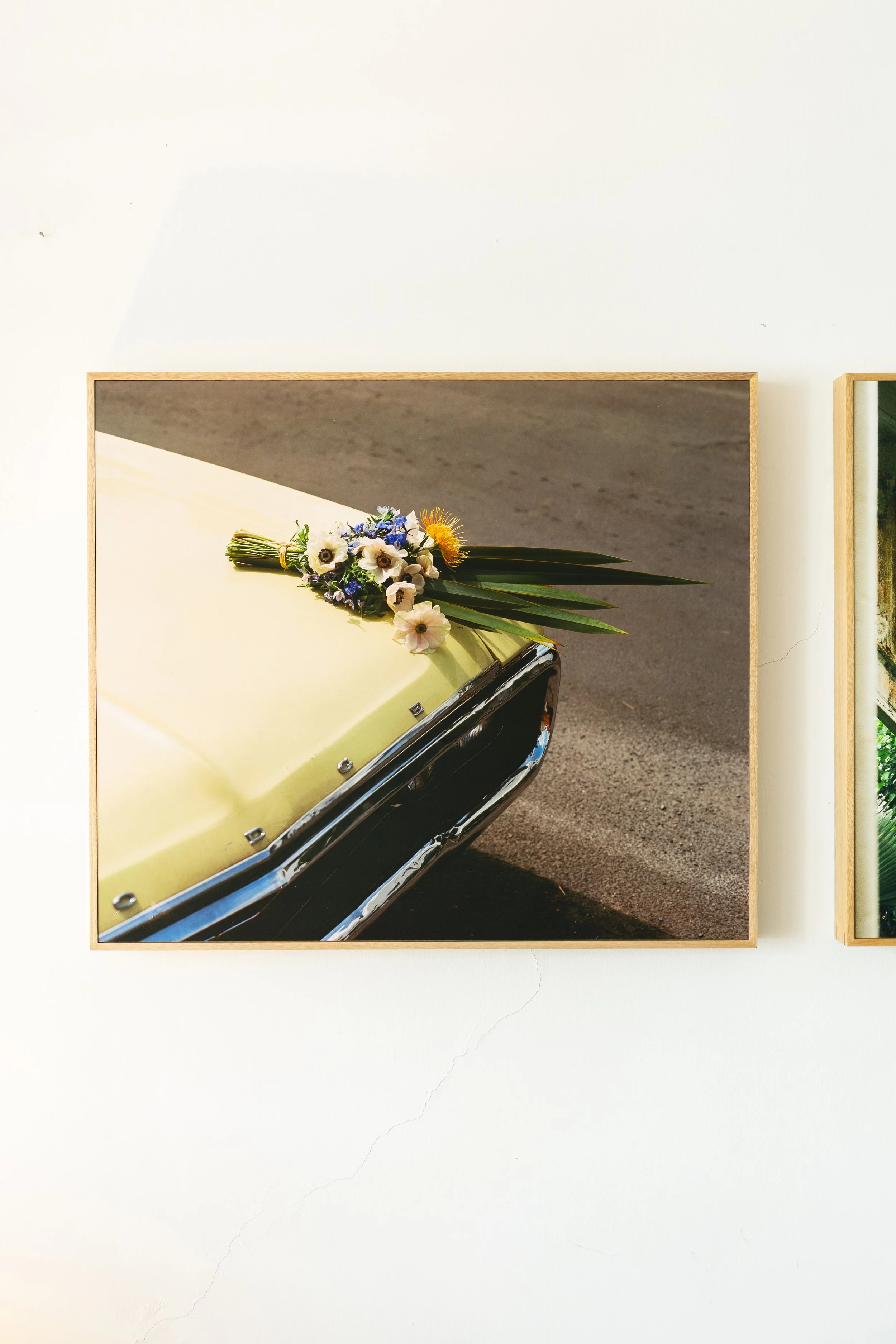 Carro en Santa Tere Hills