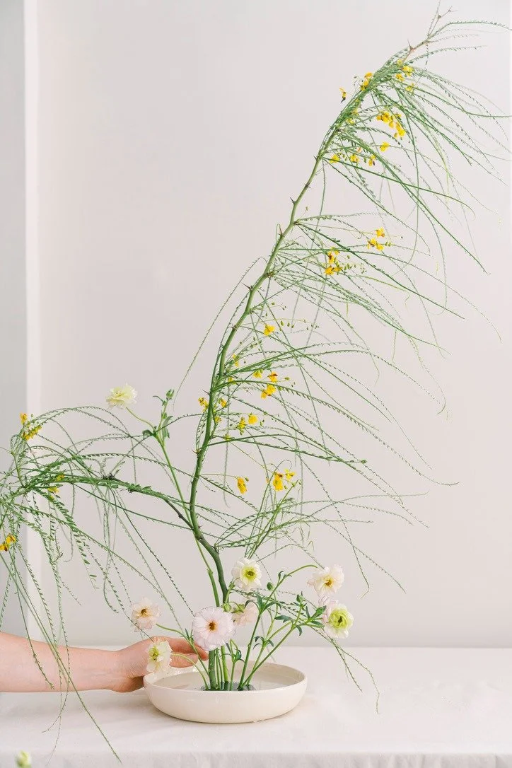 WhatsApp Image 2026-02-27 at 16.45.40 (3).jpeg