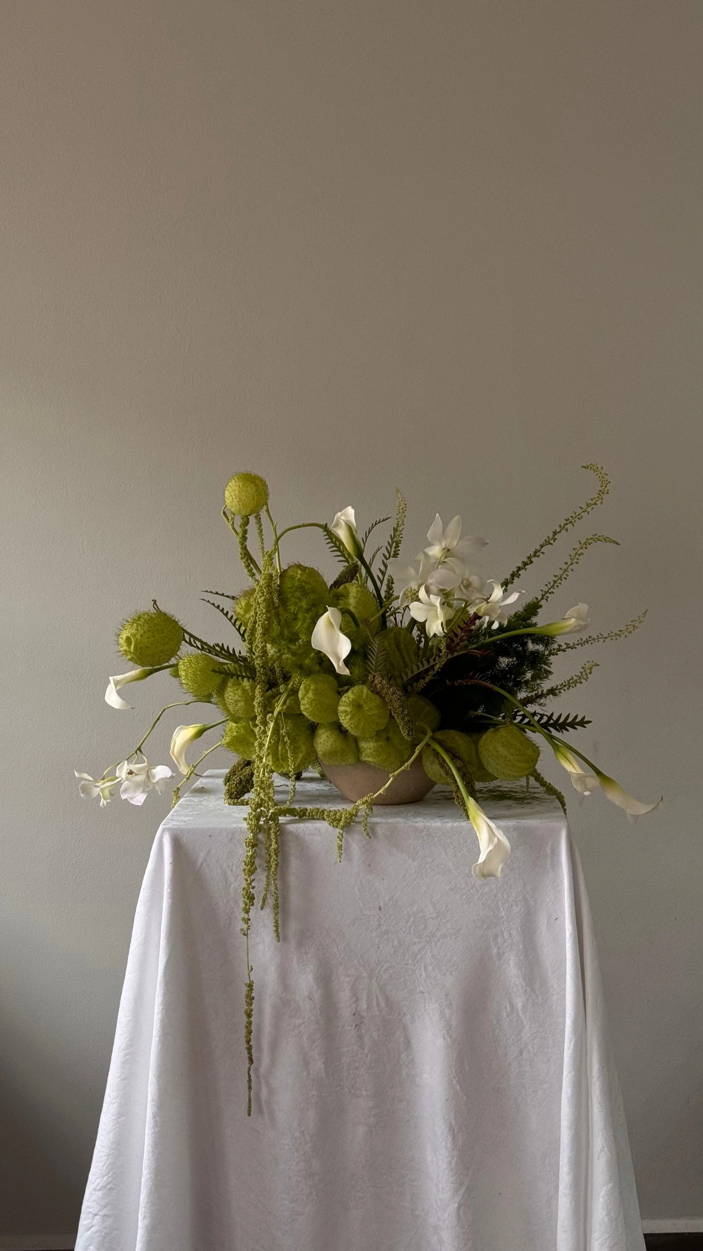 WhatsApp Image 2026-02-27 at 16.45.40 (2).jpeg