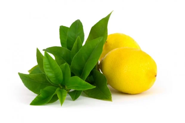 lemon verbena.jpg