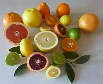 citrus.jpg
