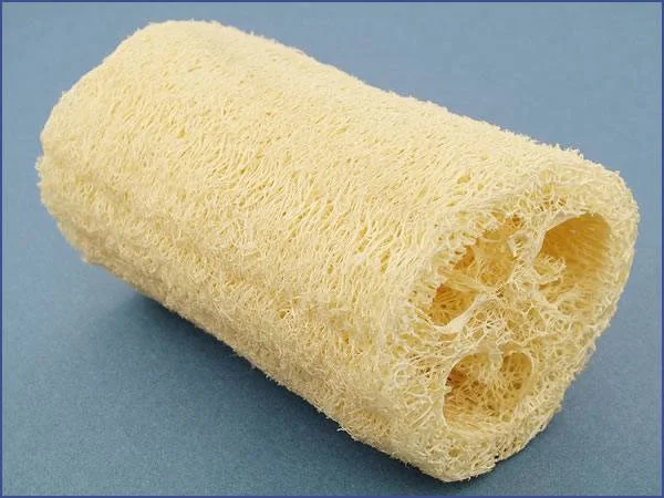 LofahSponge.jpg