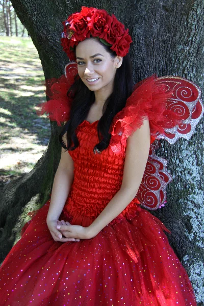 Red sparkle fairy dress