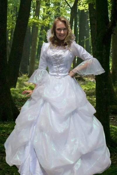 Fairy godmother, Cinderella - Disney Princess