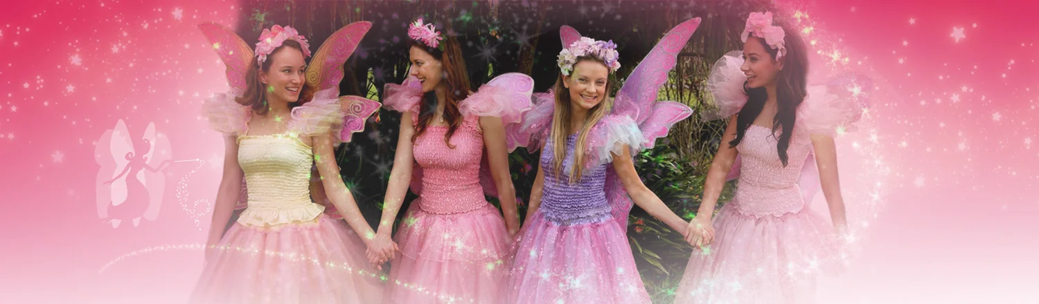 fairyC-BANNER-meet-fairies.jpg