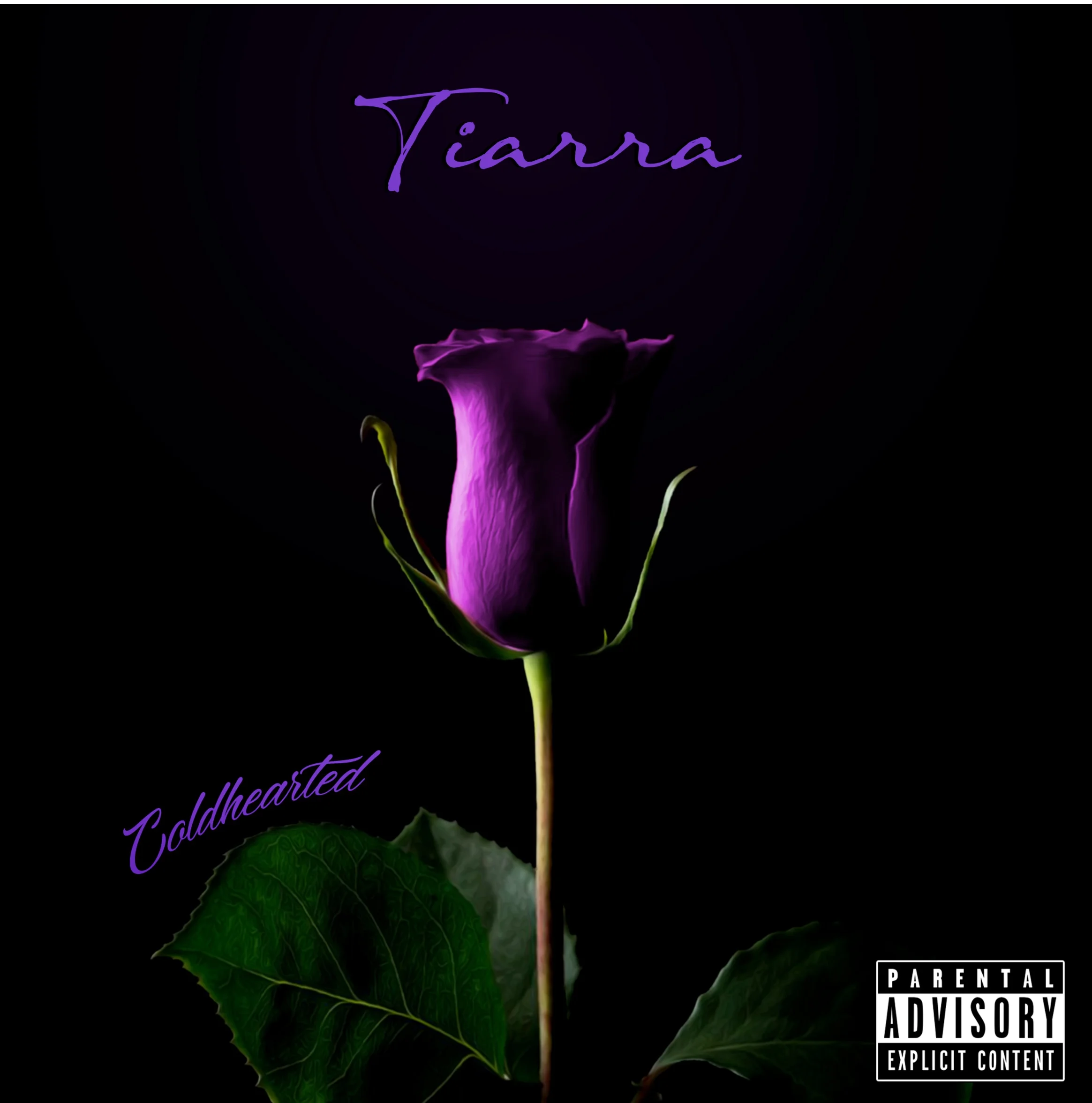 TIARRA _COLD_HEARTED_ROSE.png