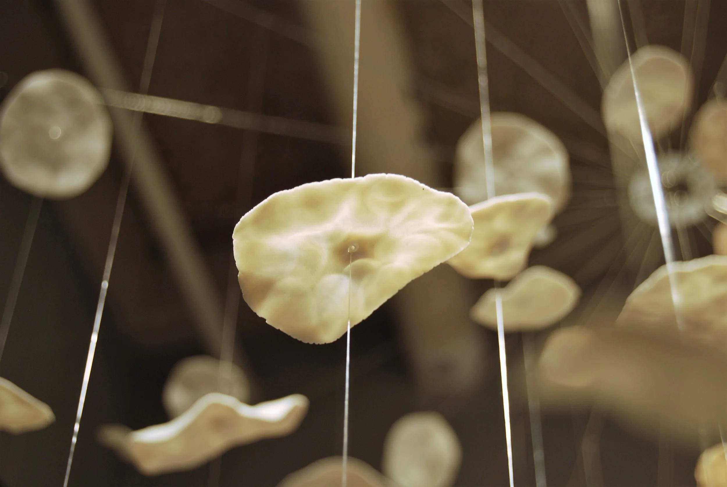 All The Little Things 