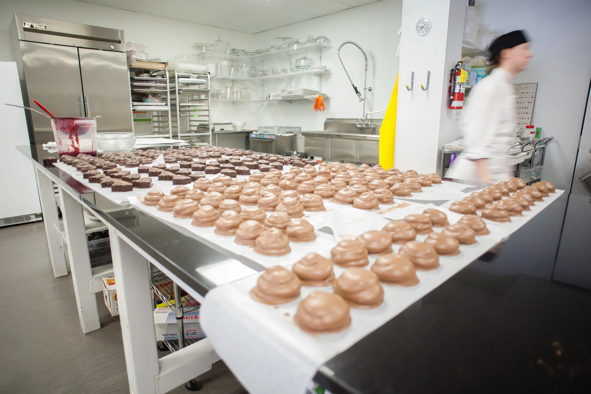 Constance Popp-4th photo if needed.jpg