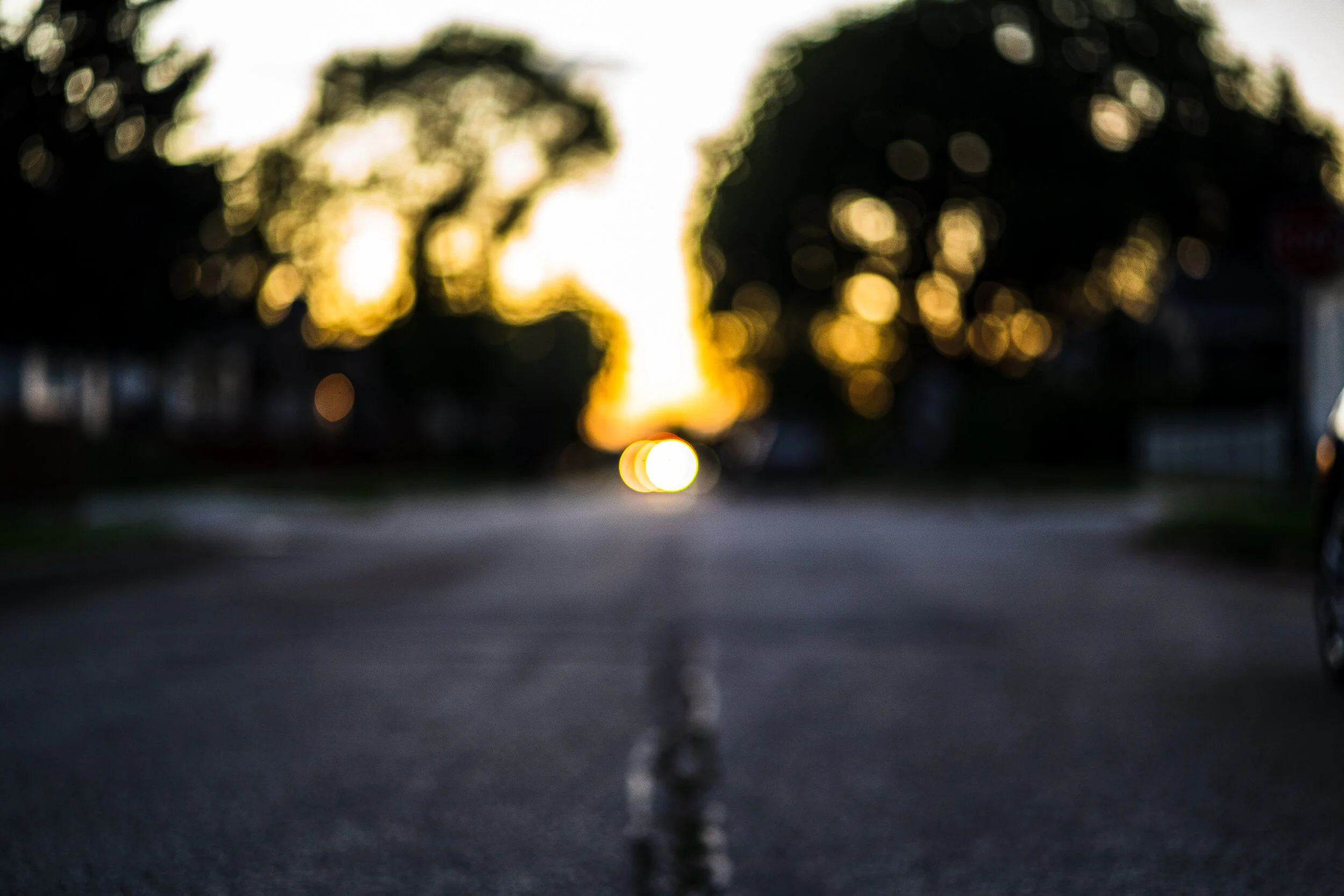 DSC04916-edit.jpg