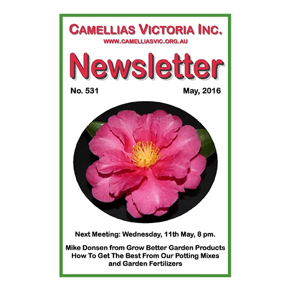 NSL+531+May+2016+Email-1.jpg