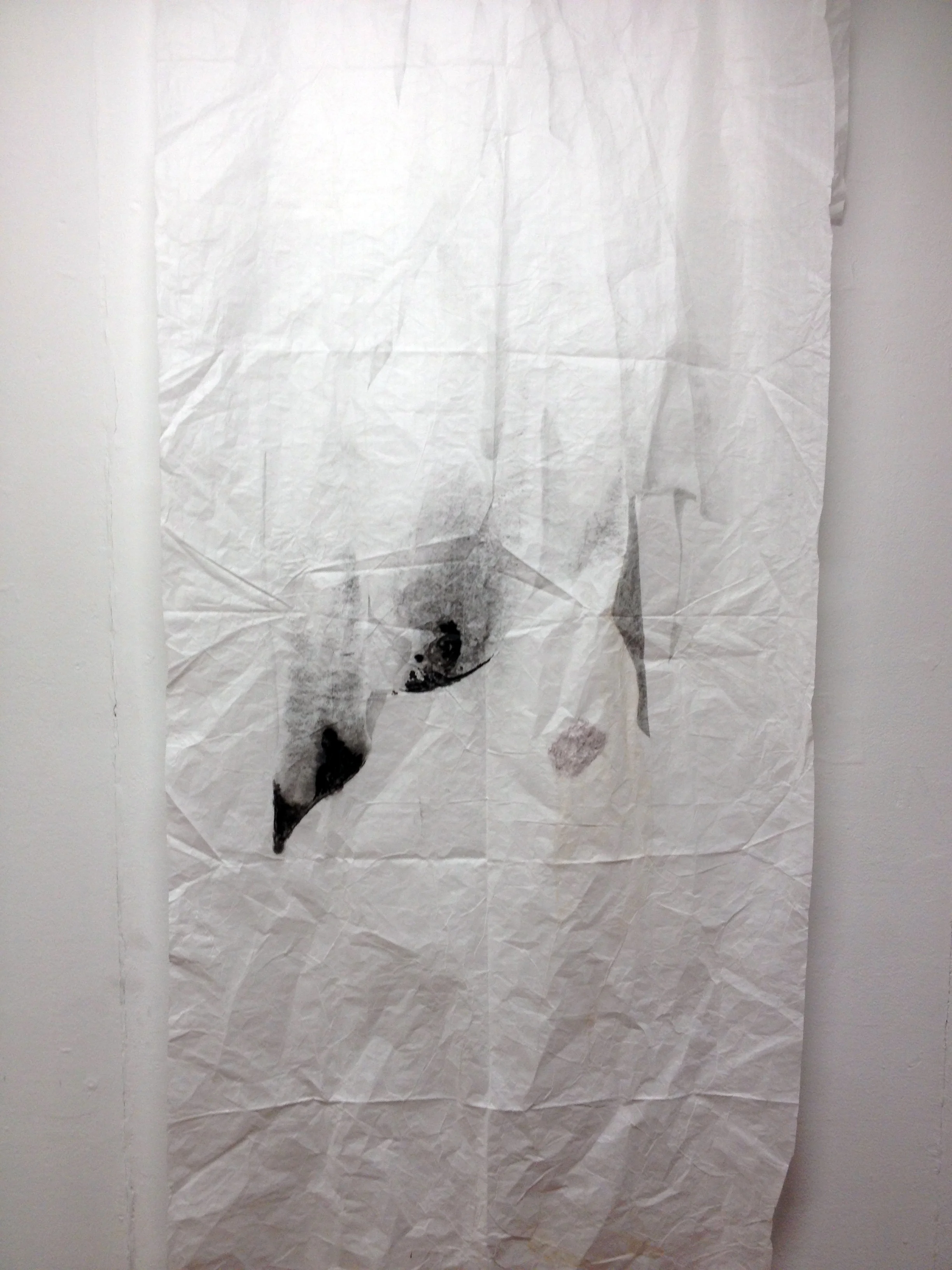 Untitled (revealed)