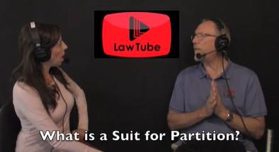 What is a suit for partition?