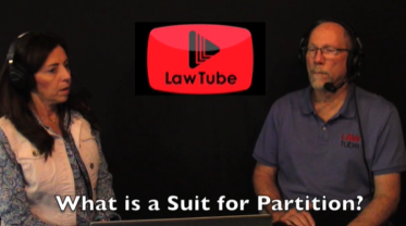 What is a suit for partition?