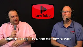 Former couple has a dog custody dispute