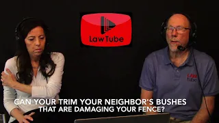 Can you trim your neighbor's bushes that are damaging your fence?