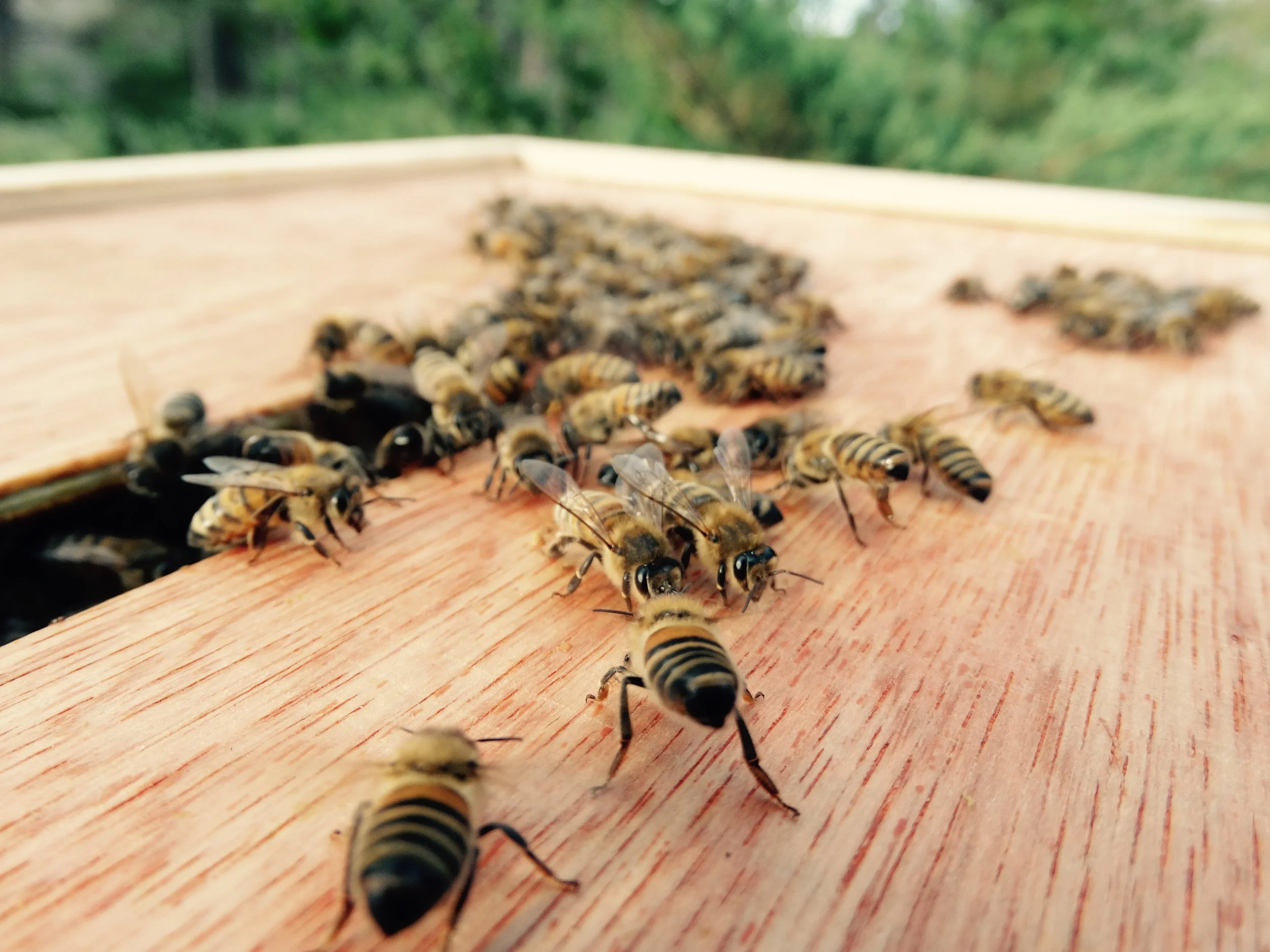 meeting on the rooftop.jpg
