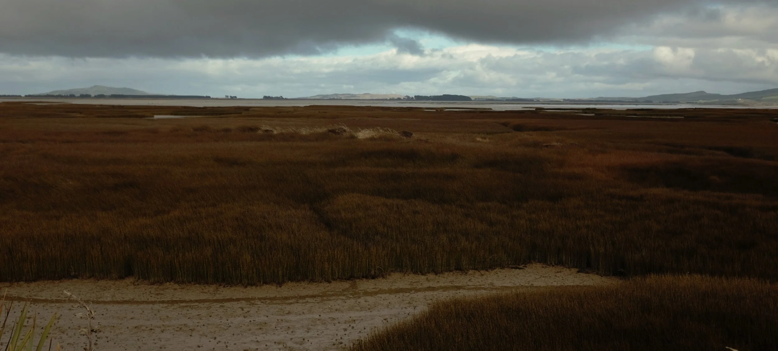The marshes south of Invercargill, and (maybe?) Bluff looming in the lefthand distance.