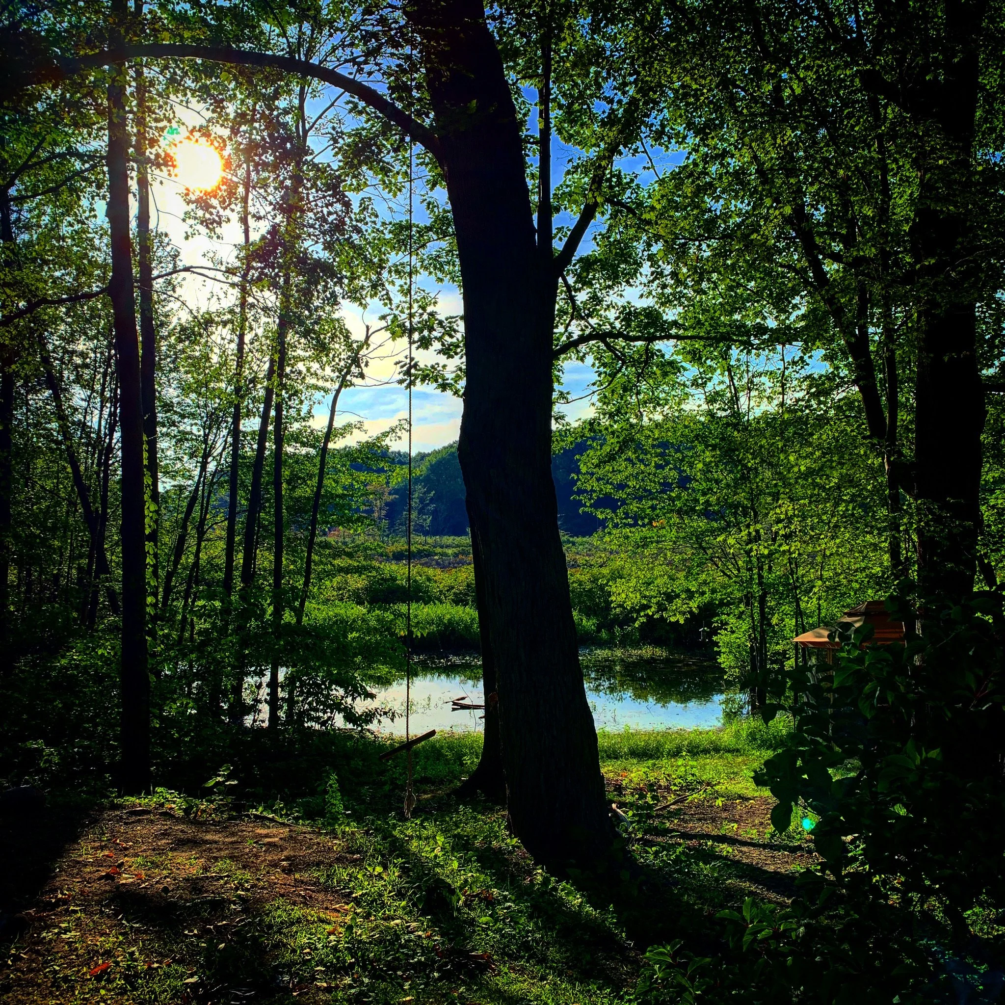 IMG_0011.jpeg
