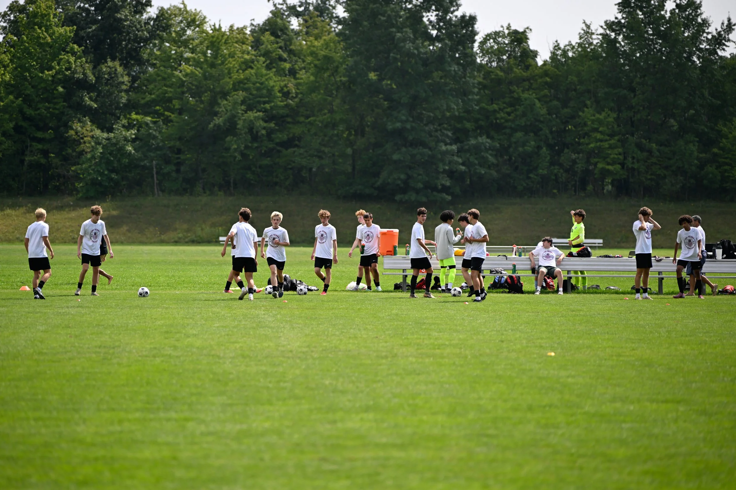 US260822-3.jpg