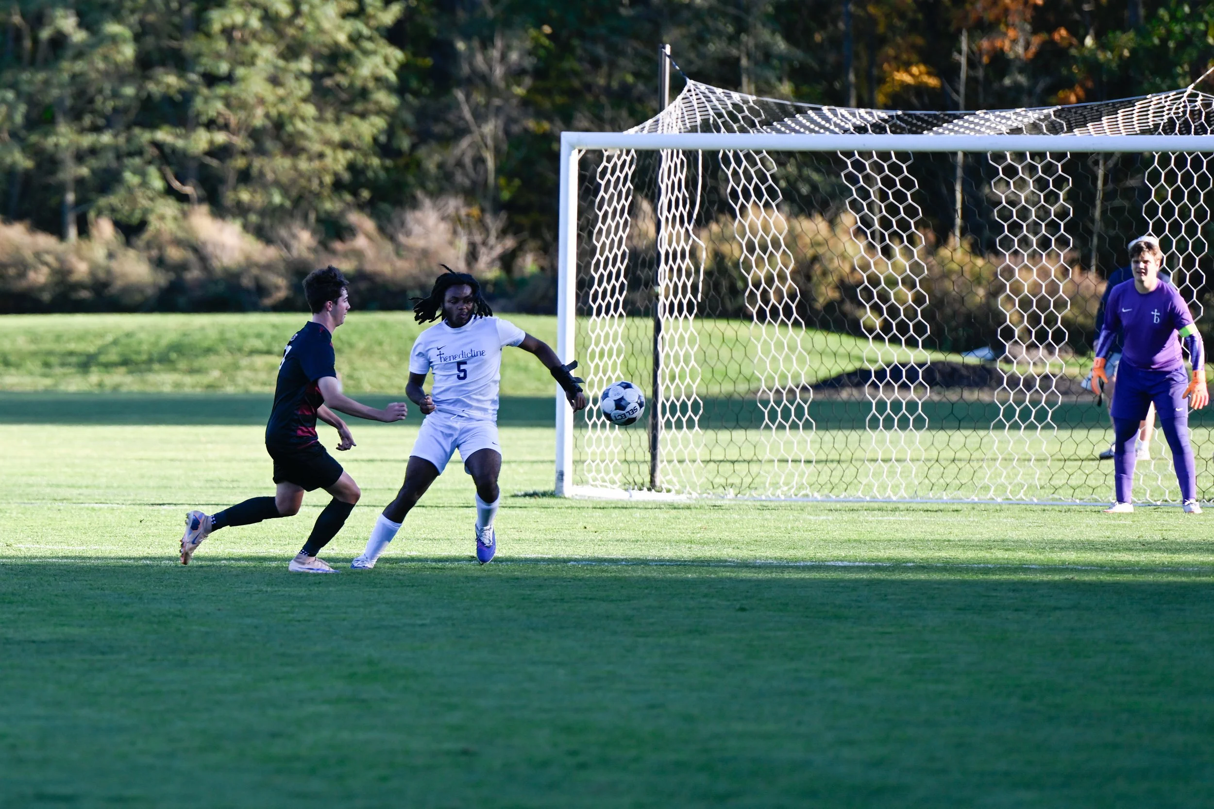 US261021-85.jpg
