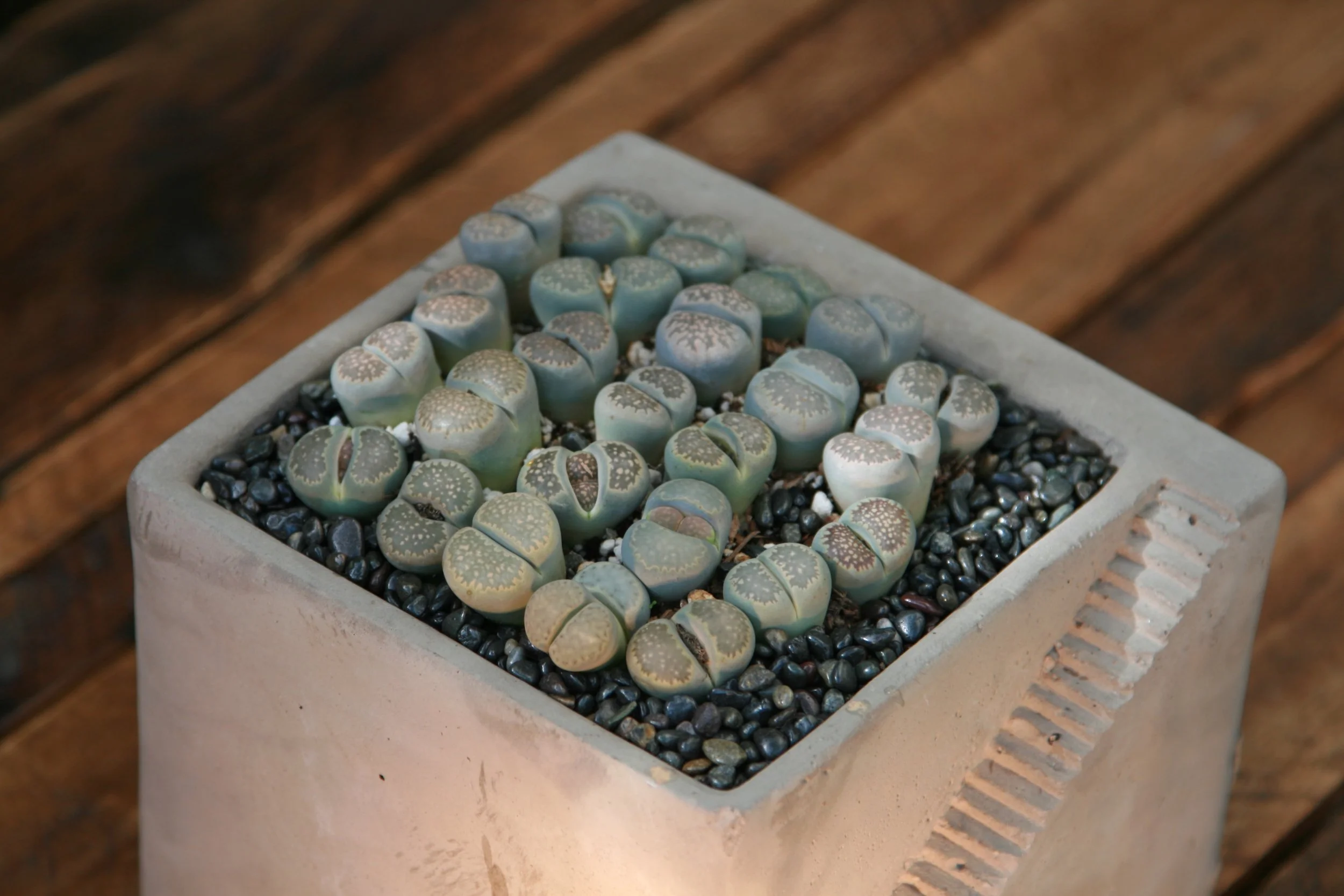 stone5use.jpg
