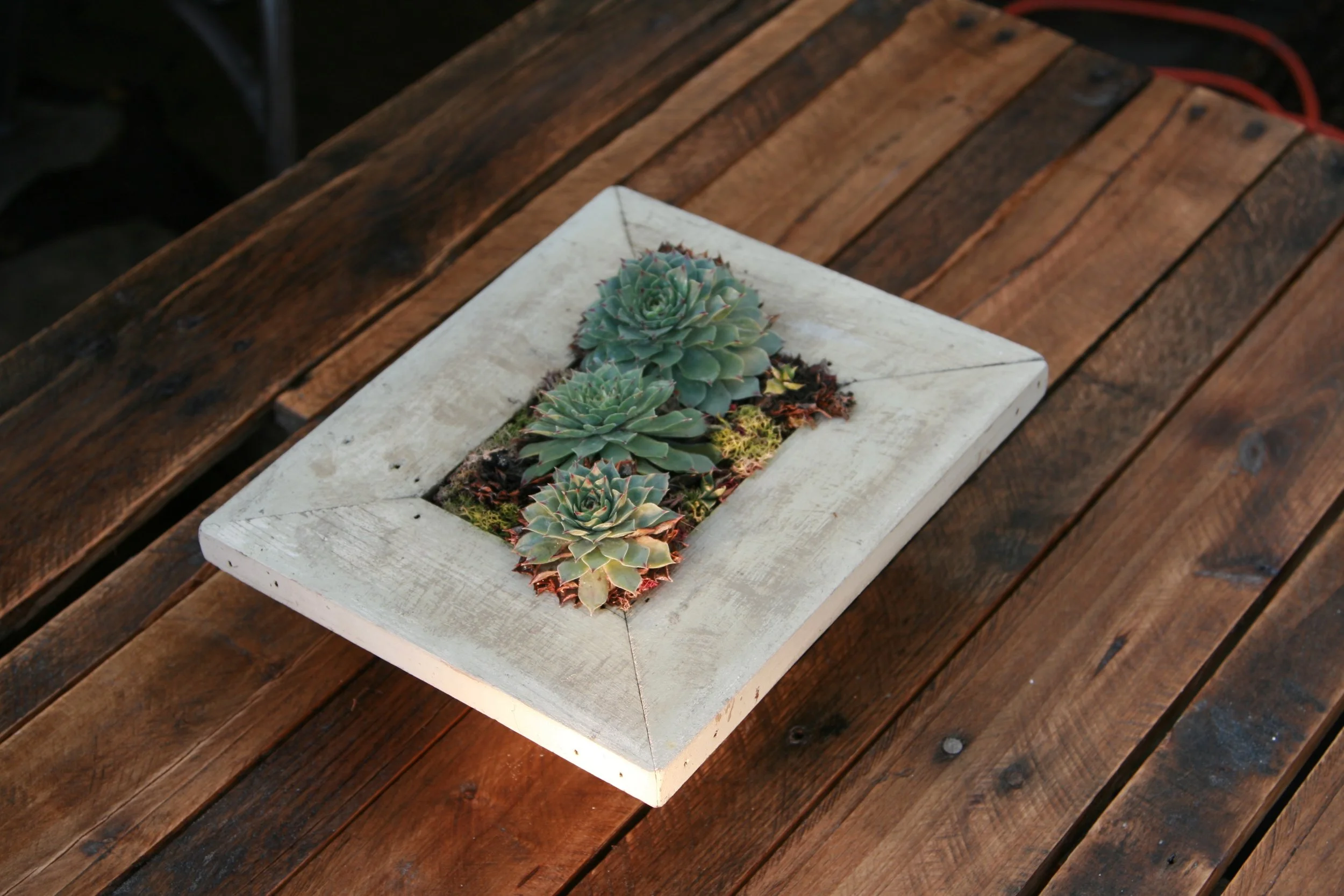 frame1.jpg
